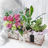 Basket of Seasonal Plants & Flowers