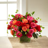 Roses in Bright Colors