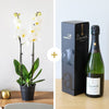Phalaenopsis orchid and Devaux champagne