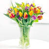Happy tulips