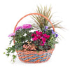 Basket with Various Seasonal Plants