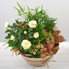 Elegant Composition with Flowers and Plants