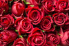 Bouquet of Red Roses.