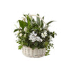 Basket with Excellent Plant Composition