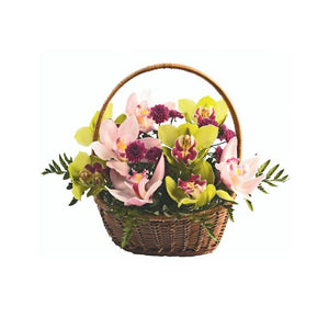 Orchids in Basket